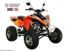 Квадроцикл Speed Gear Sport 300